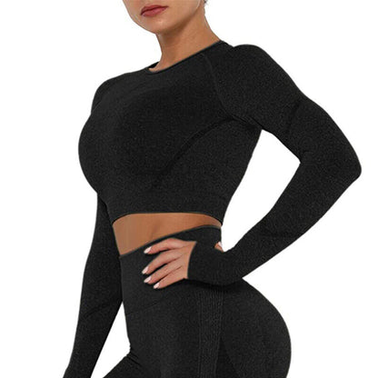 Women Seamless Long Sleeve Crop Top Yoga Suit Gym Leggings Pants Gym Workout Set