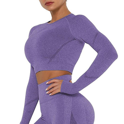 Women Seamless Long Sleeve Crop Top Yoga Suit Gym Leggings Pants Gym Workout Set